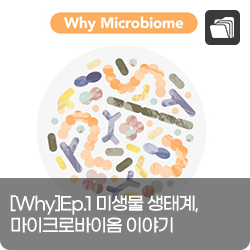 [Why]Ep.1 미생물 생태계, 마이크로바이옴 이야기