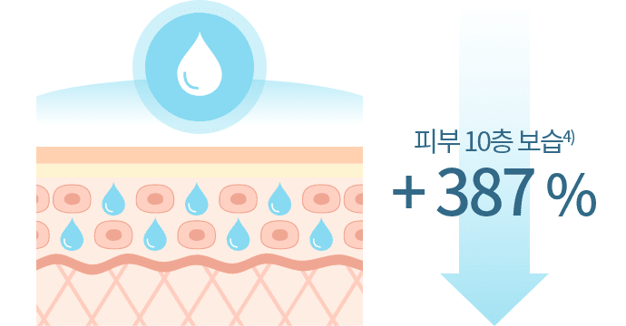 피부 10층 보습4) + 387 %