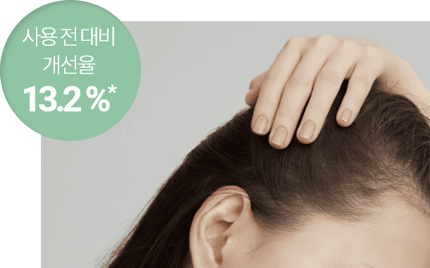 사용 전 대비 개선율 13.2%