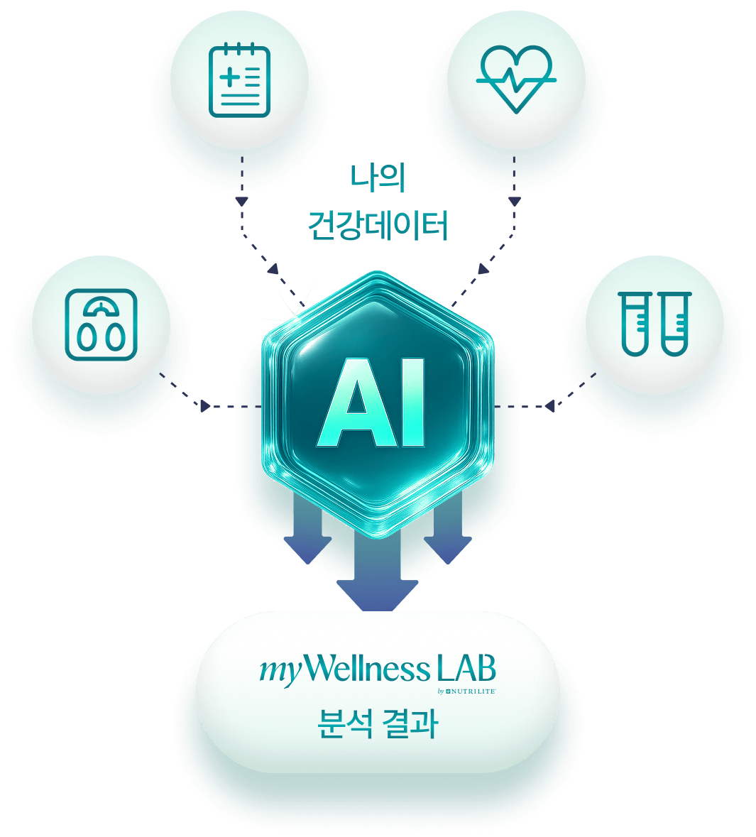 AI 나의 건강데이터 -> myWellnessLAB 분석 결과
