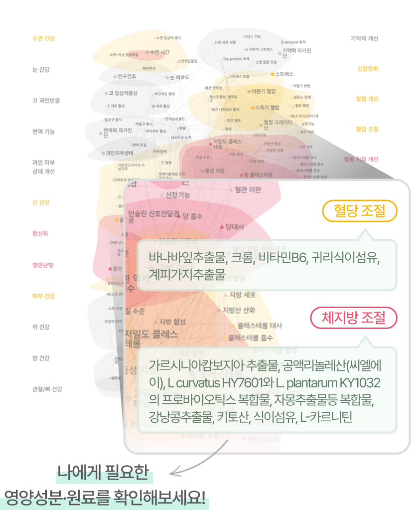 건강 영역별 원료