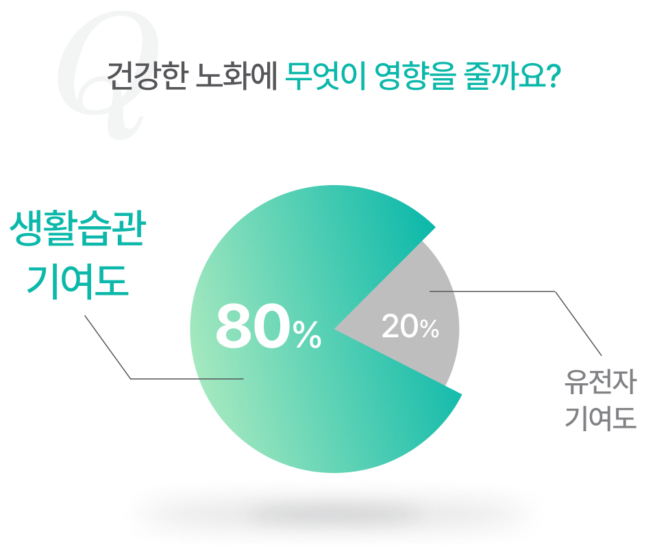 Q 건강한 노화에 무엇이 영향을 줄까요? 80%-생활습관 기여도 20%-유전자 기여도