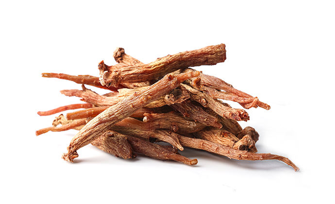 홍도라지 이미지