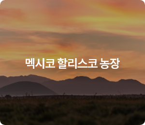 멕시코 할리스코 농장