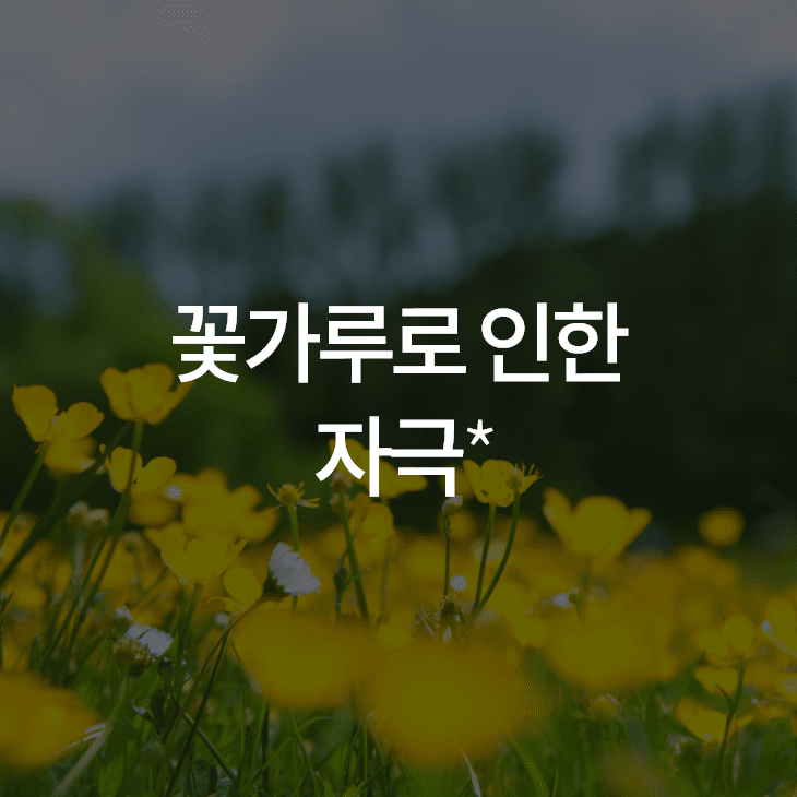 꽃가루 자극