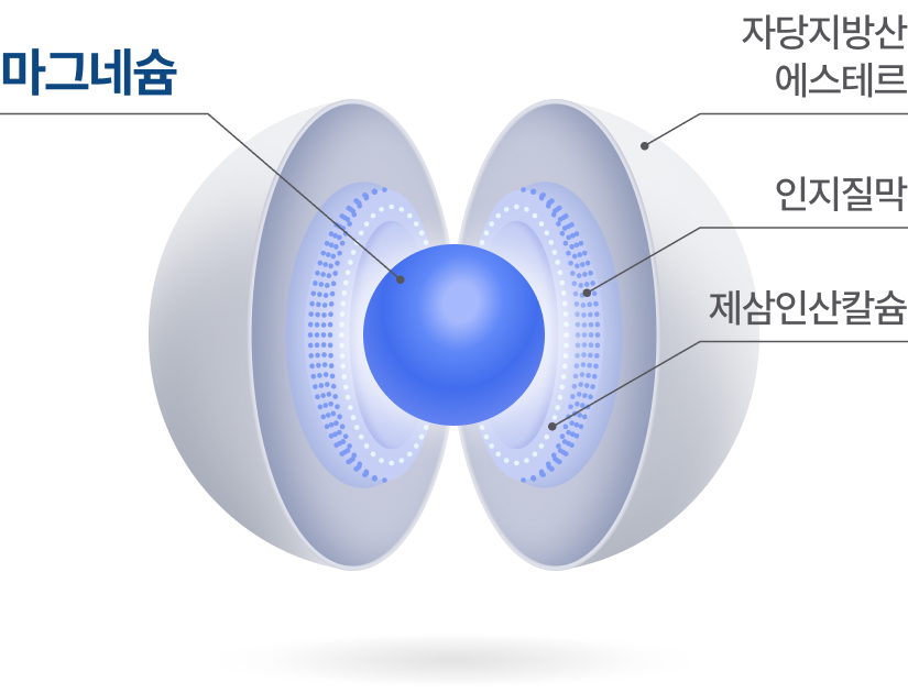 중앙의 푸른색 마그네슘 입자를 자당지방산에스테르와 인지질막, 제삼인산칼슘이 감싸고 있는 구조를 설명한 단면 개념도