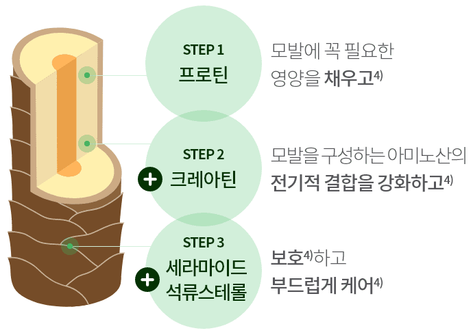 STEP 1 프로틴 - 모발에 꼭 필요한 영양을 채우고4) / STEP 2 크레아틴 - 모발을 구상하는 아미노산의 전기적 결합을 강화하고4) / STEP 3 세라마이드 석류스테롤 - 보호4)하고 부드럽게 케어4)