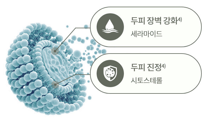 두피 장벽 강화4) 세라마이드 / 두피 진정 시토스테롤4)