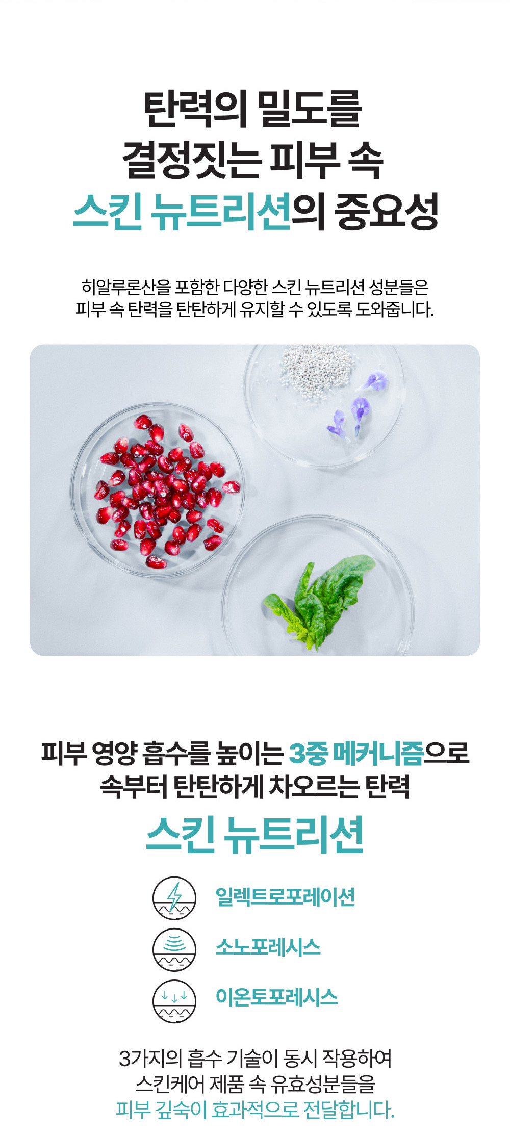 탄력의 밀도를 결정짓는 피부 속 스킨 뉴트리션의 중요성 / 피부 영양 흡수를 높이는 3중 메커니즘으로 속부터 탄탄하게 차오르는 탄력
