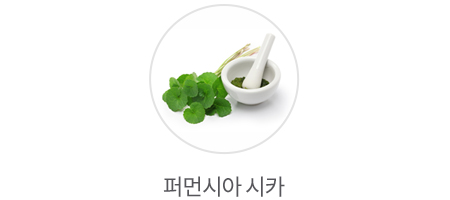 퍼먼시아 시카 이미지