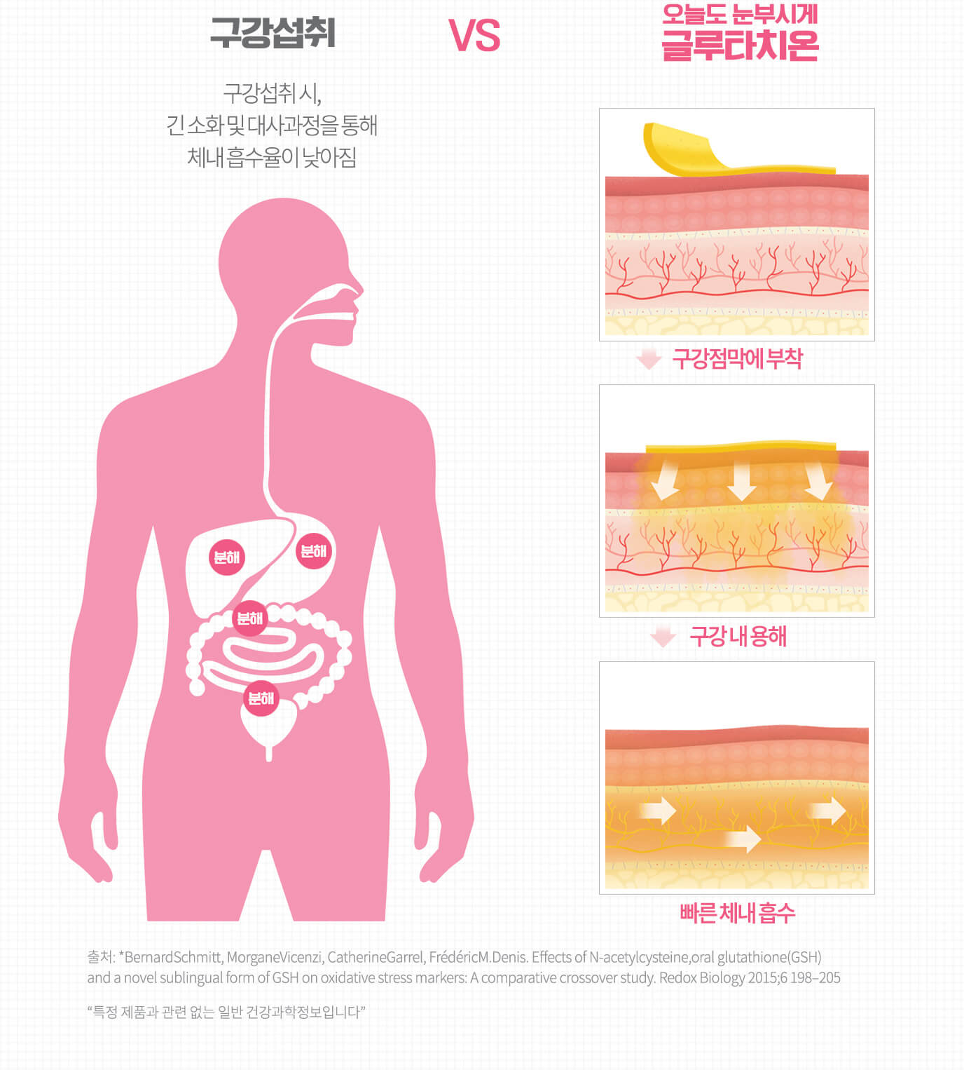 구강섭취 구강섭취 시, 긴 소화 및 대사과정을 통해 체내 흡수율이 낮아짐 VS 오늘도 눈부시게 글루타치온 구강점막에 부착 구강 내 용해 빠른 체내 흡수