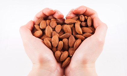 설명 관련 이미지