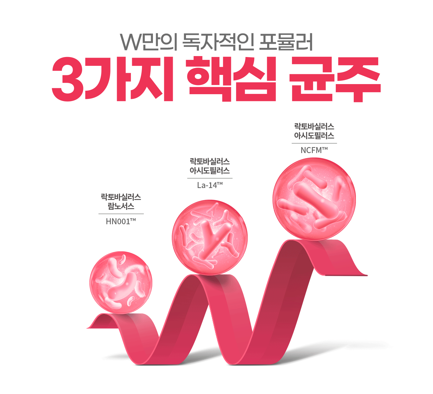 W만의 독자적인 포뮬러 3가지 핵심 균주 락토바실러스 람노서스 / 락토바실러스 아시도필러스 / 락토바실러스 아시도필러스