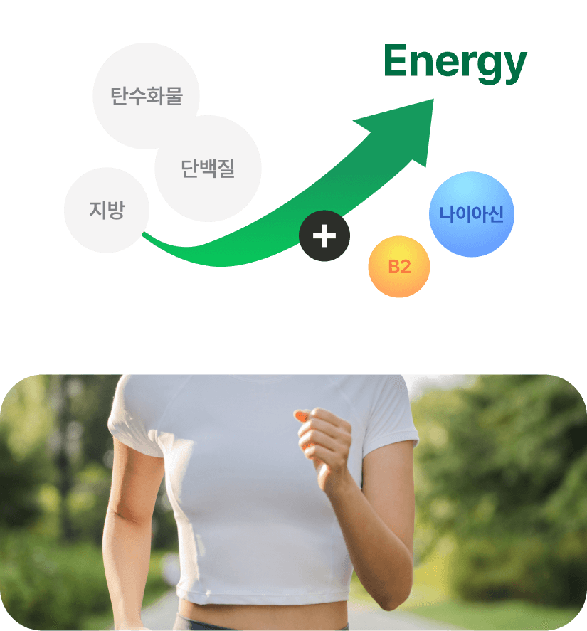 관련 이미지