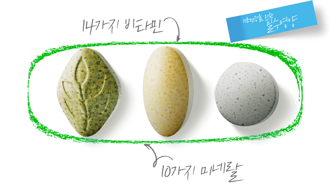 14가지 비타민, 10가지 미네랄 알약