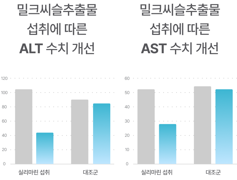 밀크씨슬추출물 섭취에 따른 ALT 수치 개선, 밀크씨슬추출물 섭취에 따른 AST 수치 개선 각각 그래프