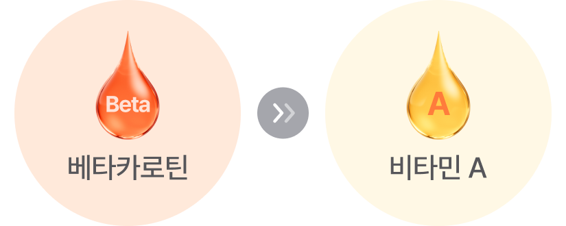 베타카로틴 → 비타민 A