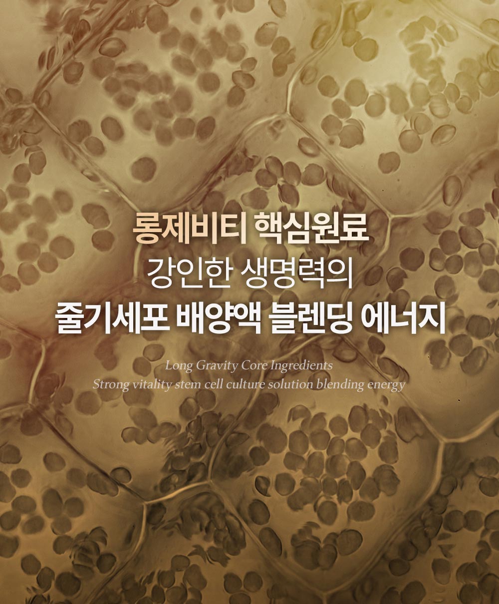 롱제비티 핵심원료 강인한 생명력의 줄기세포 배양액 블렌딩 에너지