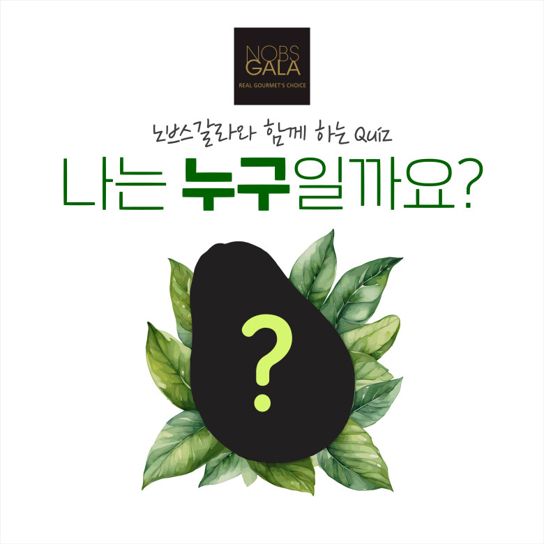 노브스갈라와 함께 하는 Quiz 나는 누구일까요?