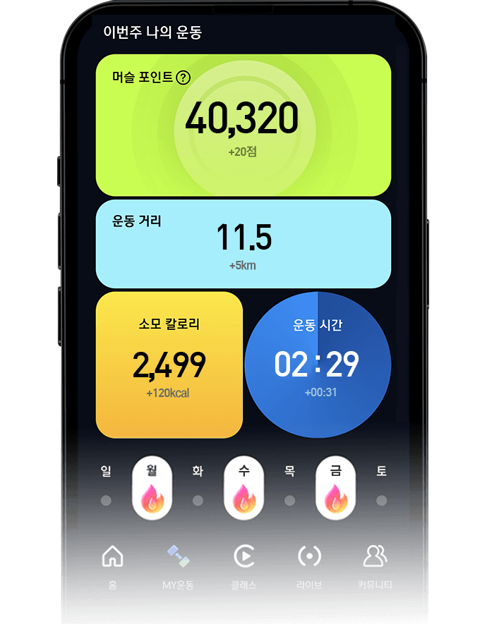 운동기록 화면